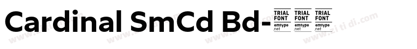 Cardinal SmCd Bd字体转换